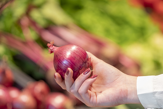 Uien Sorten Veggipedia - Welke soorten uien zijn er?