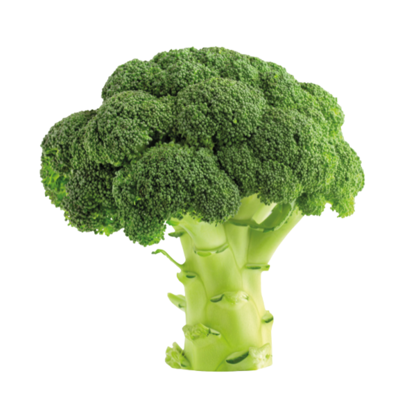 Veggipedia - Brokkoli