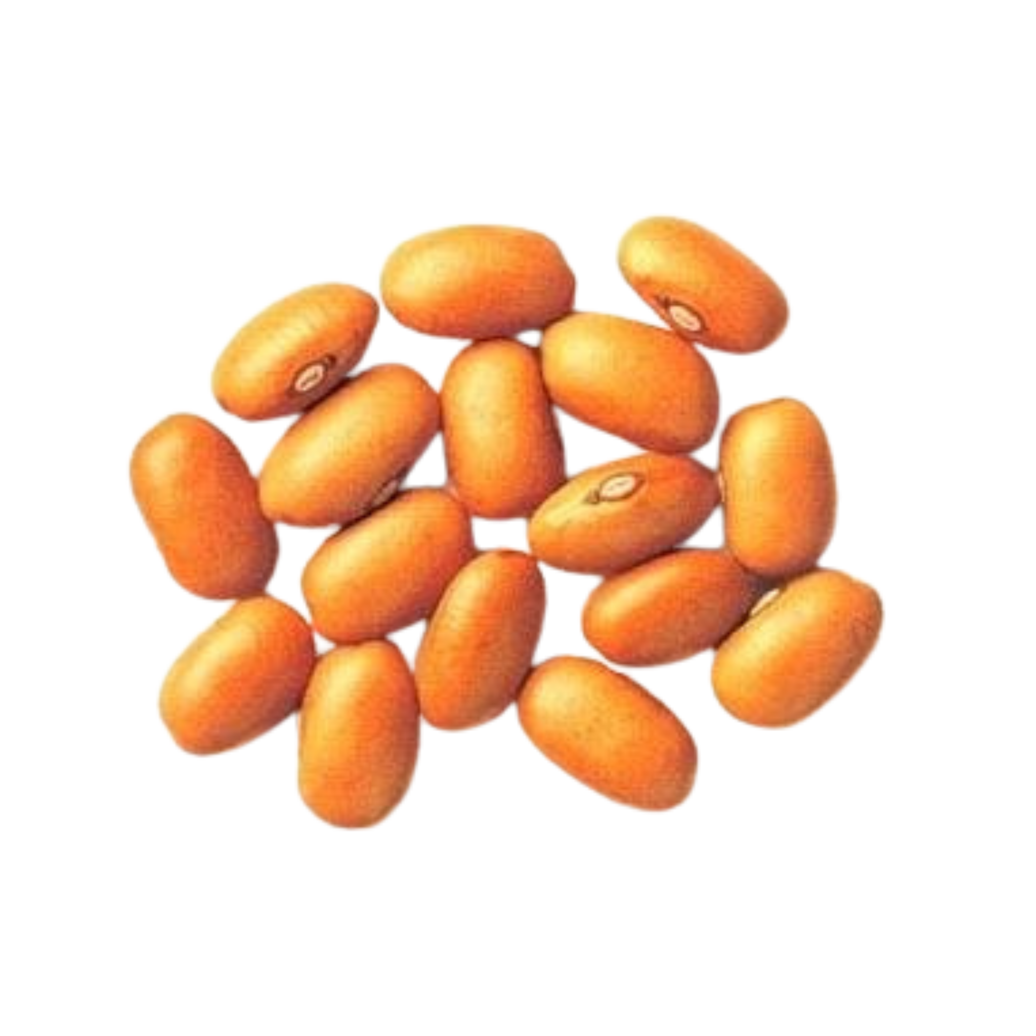 Veggipedia - Bruine bonen