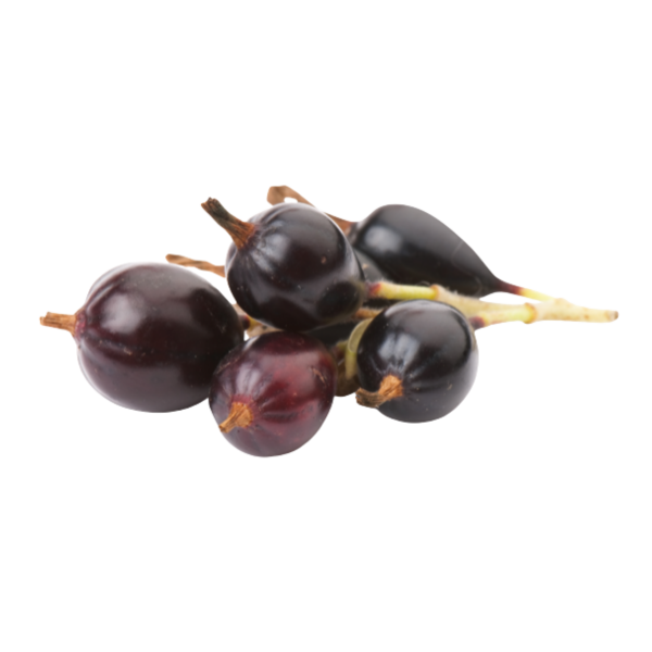 Jostabes-fruit-