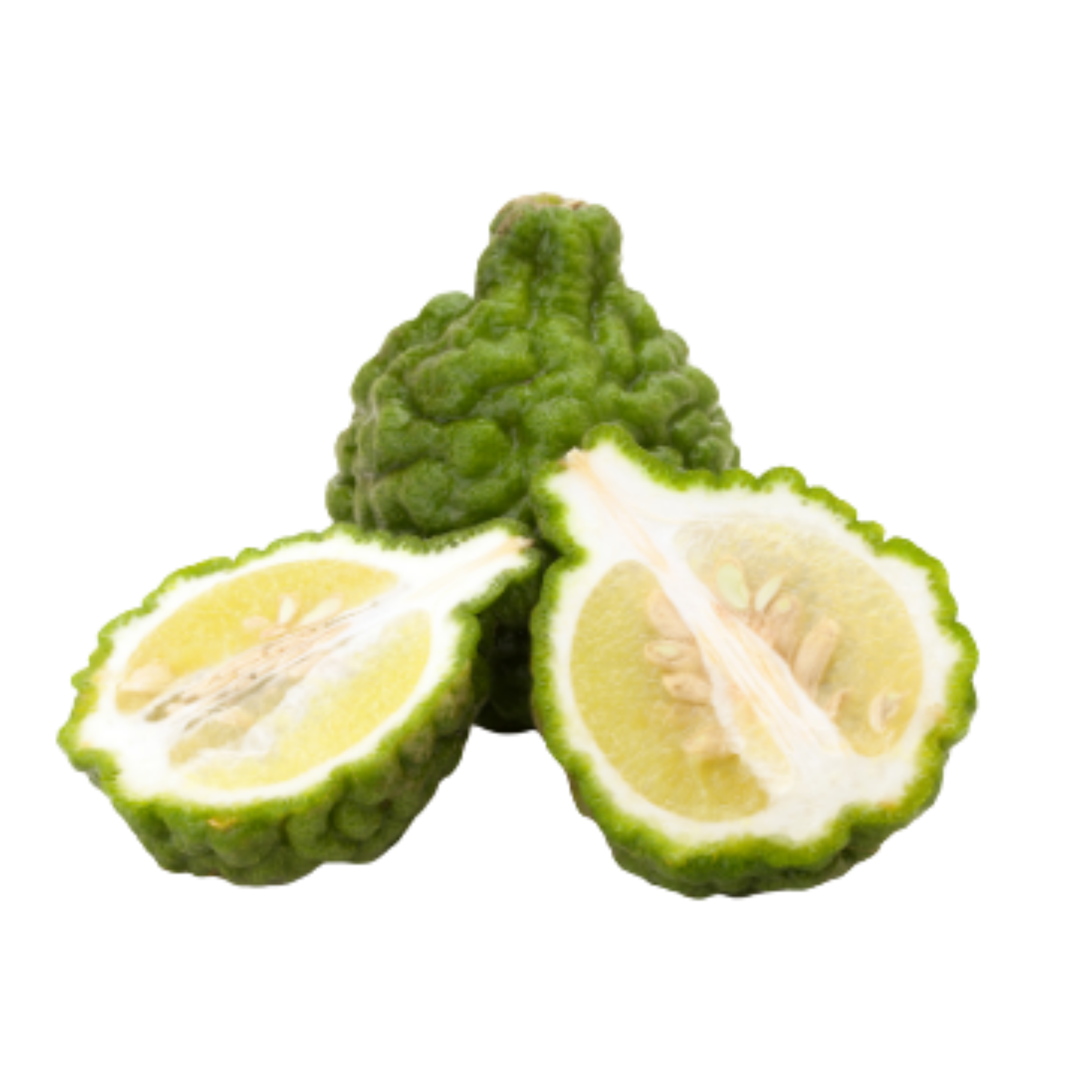 Fresh Kaffir Lime Leaves, 1 Lb Pack - Wholesale Pricing