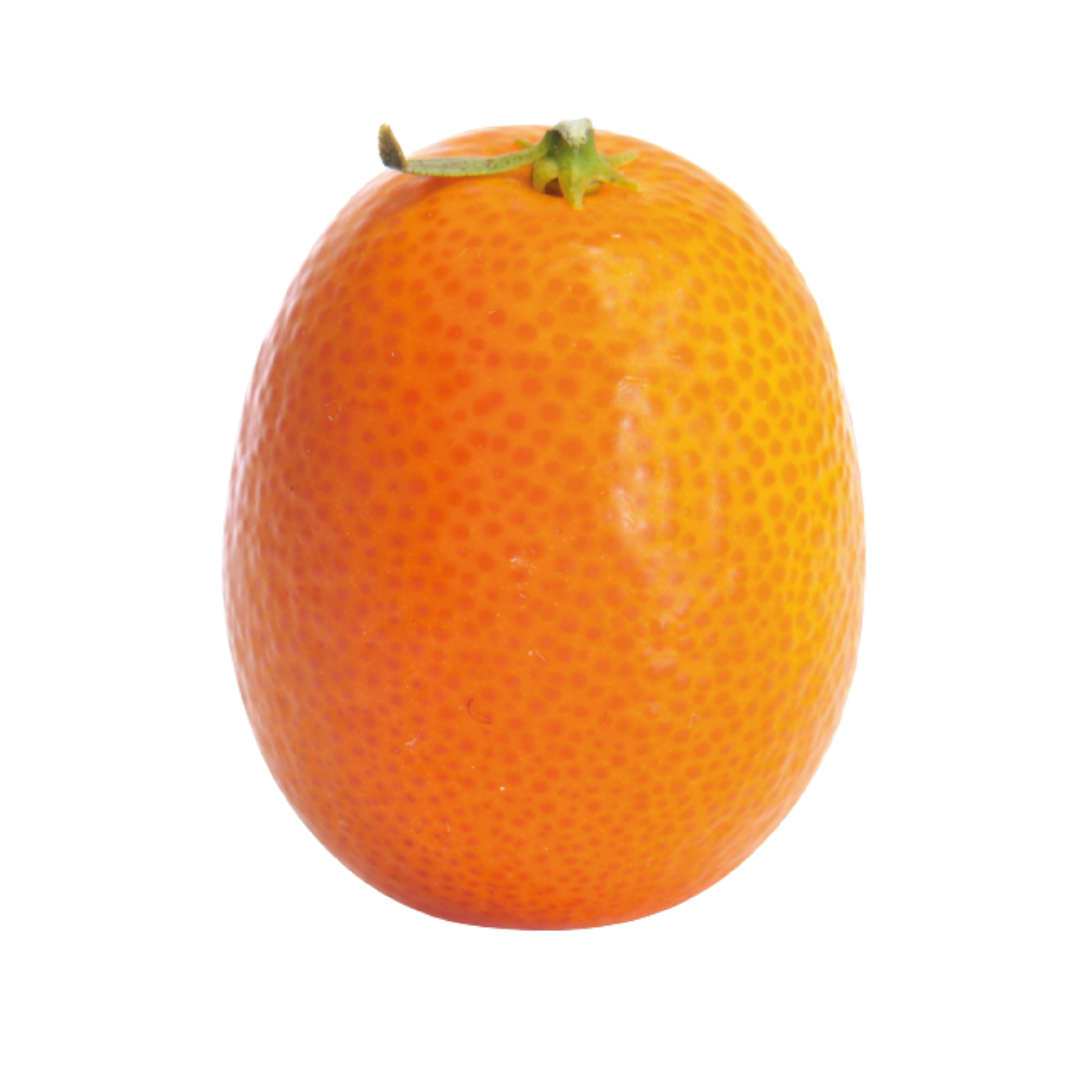 Kumquat