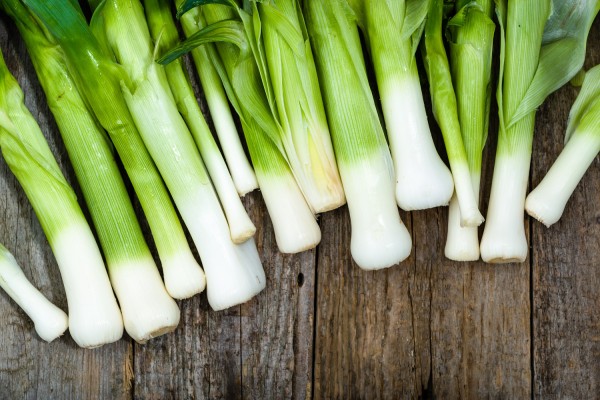 Veggipedia - Lauch