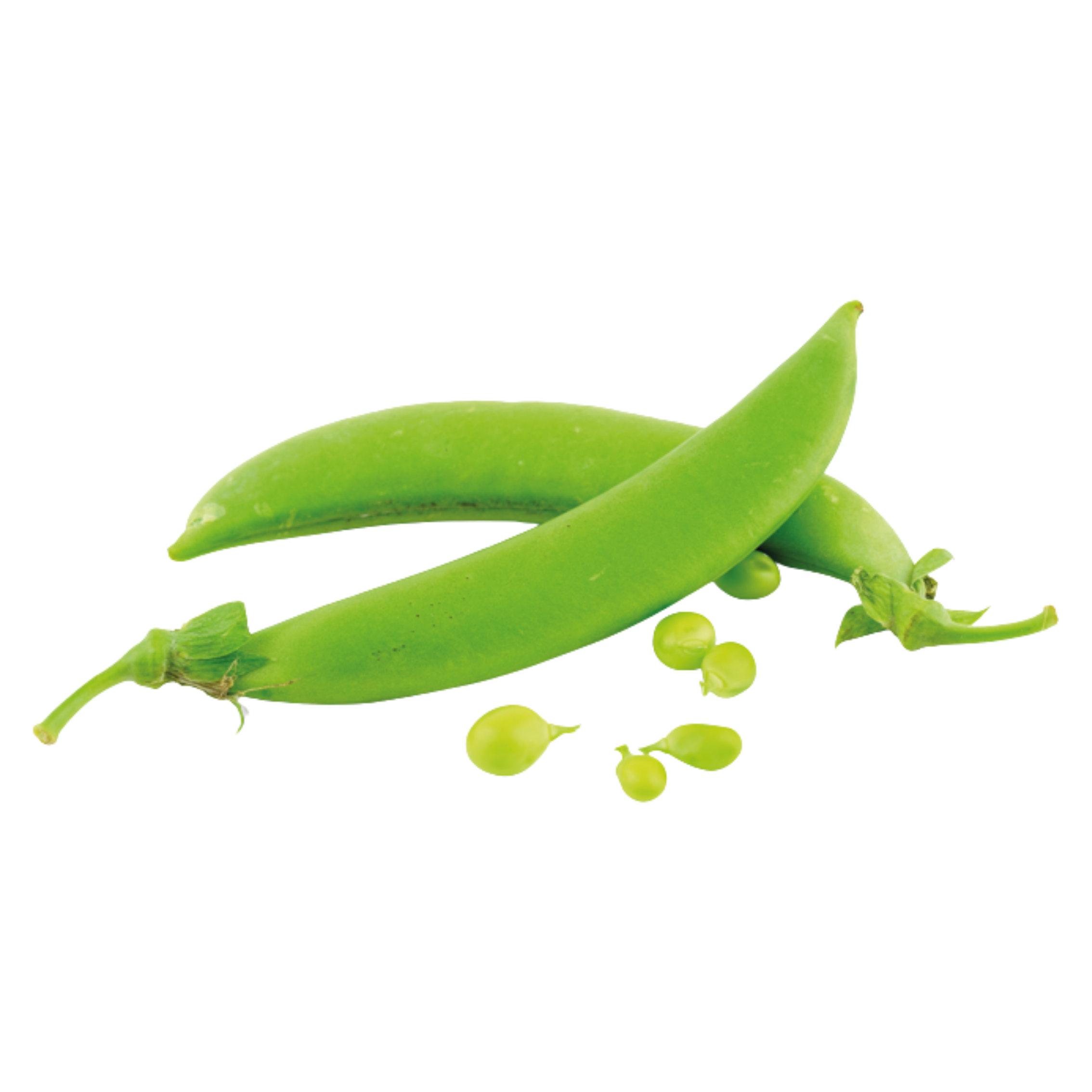 Veggipedia - Zuckerschoten