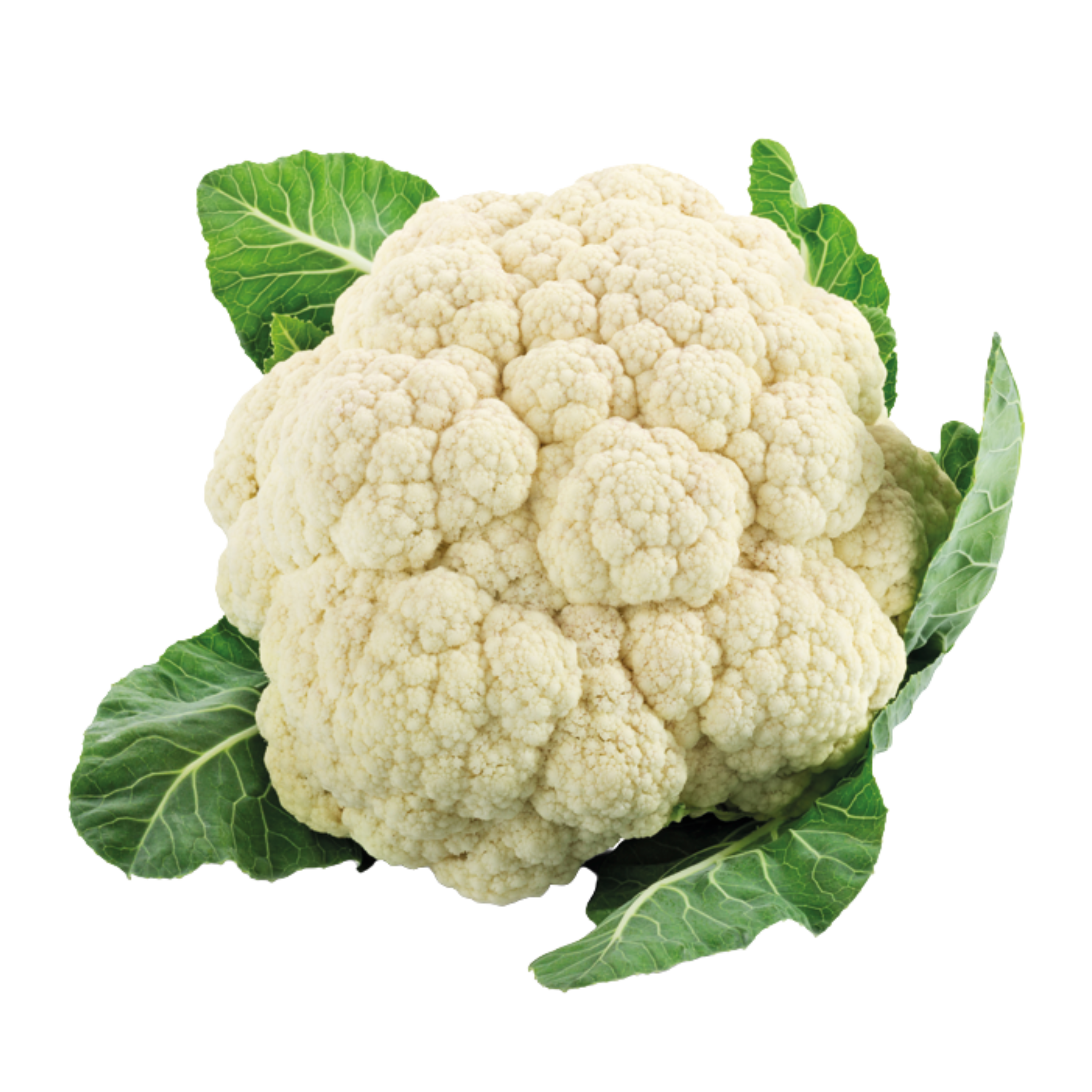 Veggipedia - Blumenkohl