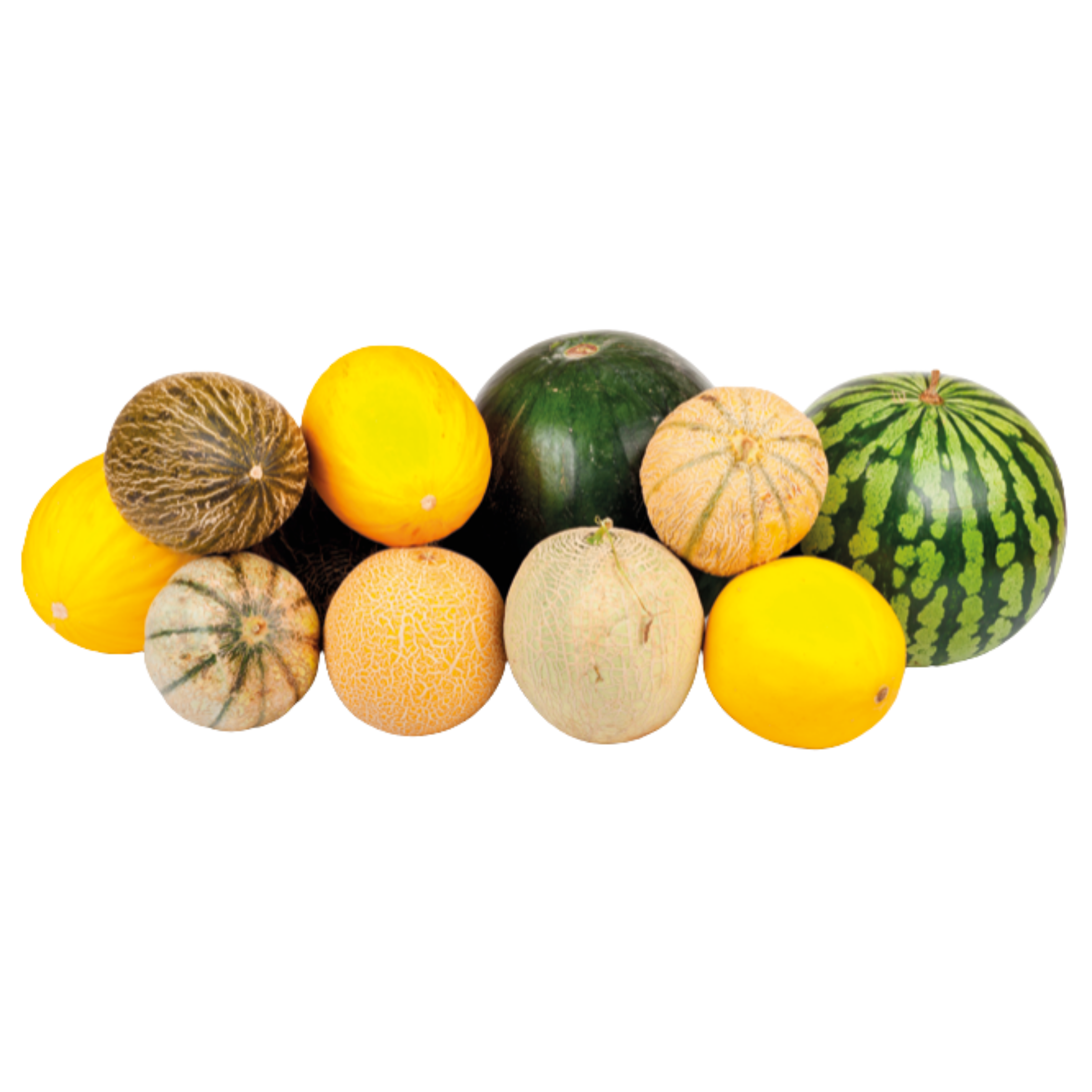 muss man feigen düngen Feigenbaum Dünger von Flora Boost für gesunde Obstbäume