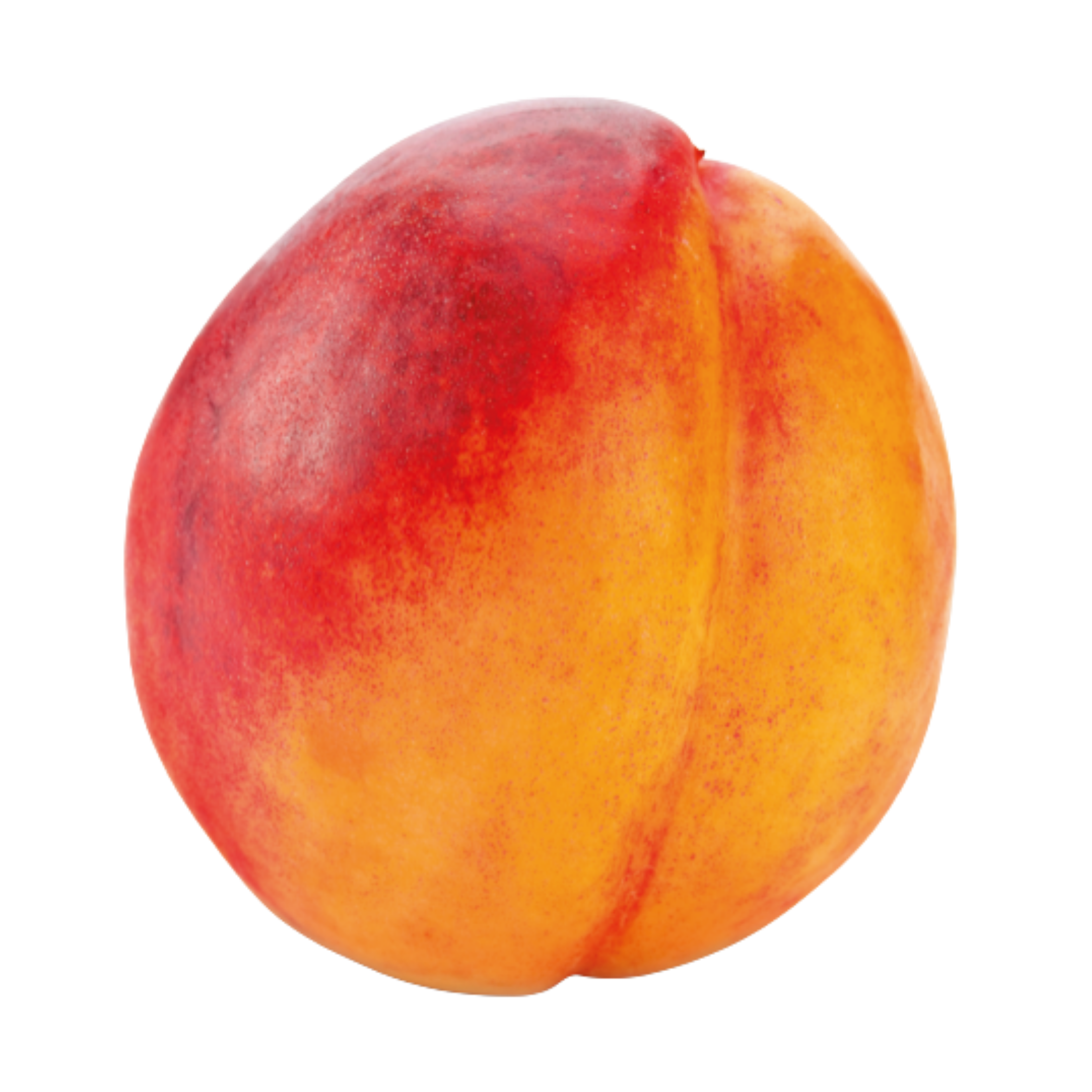 Veggipedia - Nektarine
