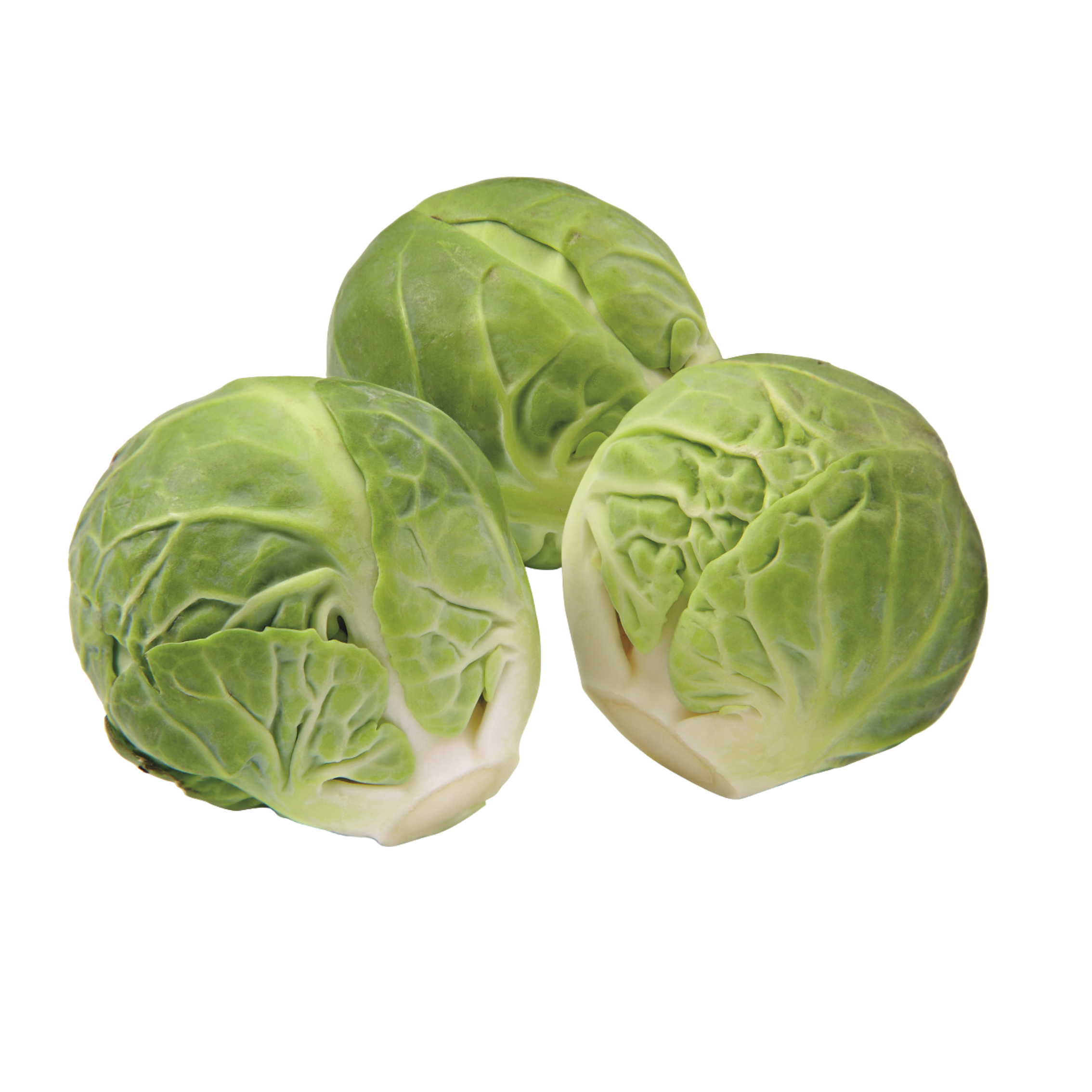 Veggipedia - Sprossen
