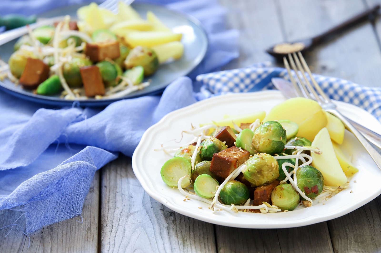 Veggipedia - Spicy Brussels sprouts with tofu
