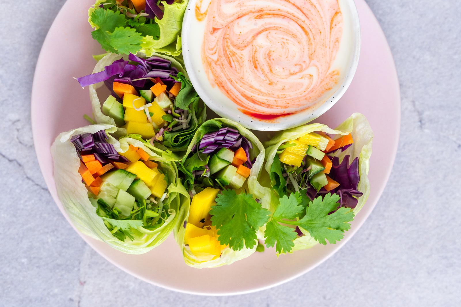Veggipedia - Rainbow wrap with spicy dipping sauce