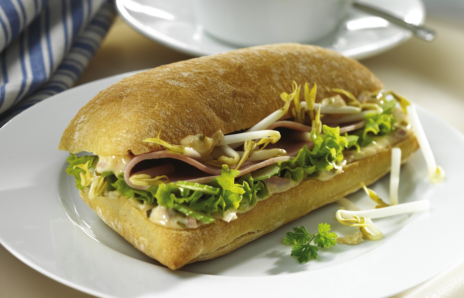 Pikante Thunfischpistole