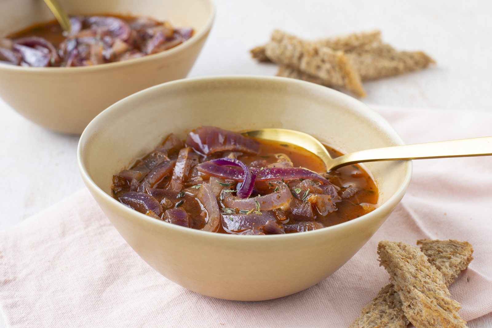Veggipedia - Red onion soup