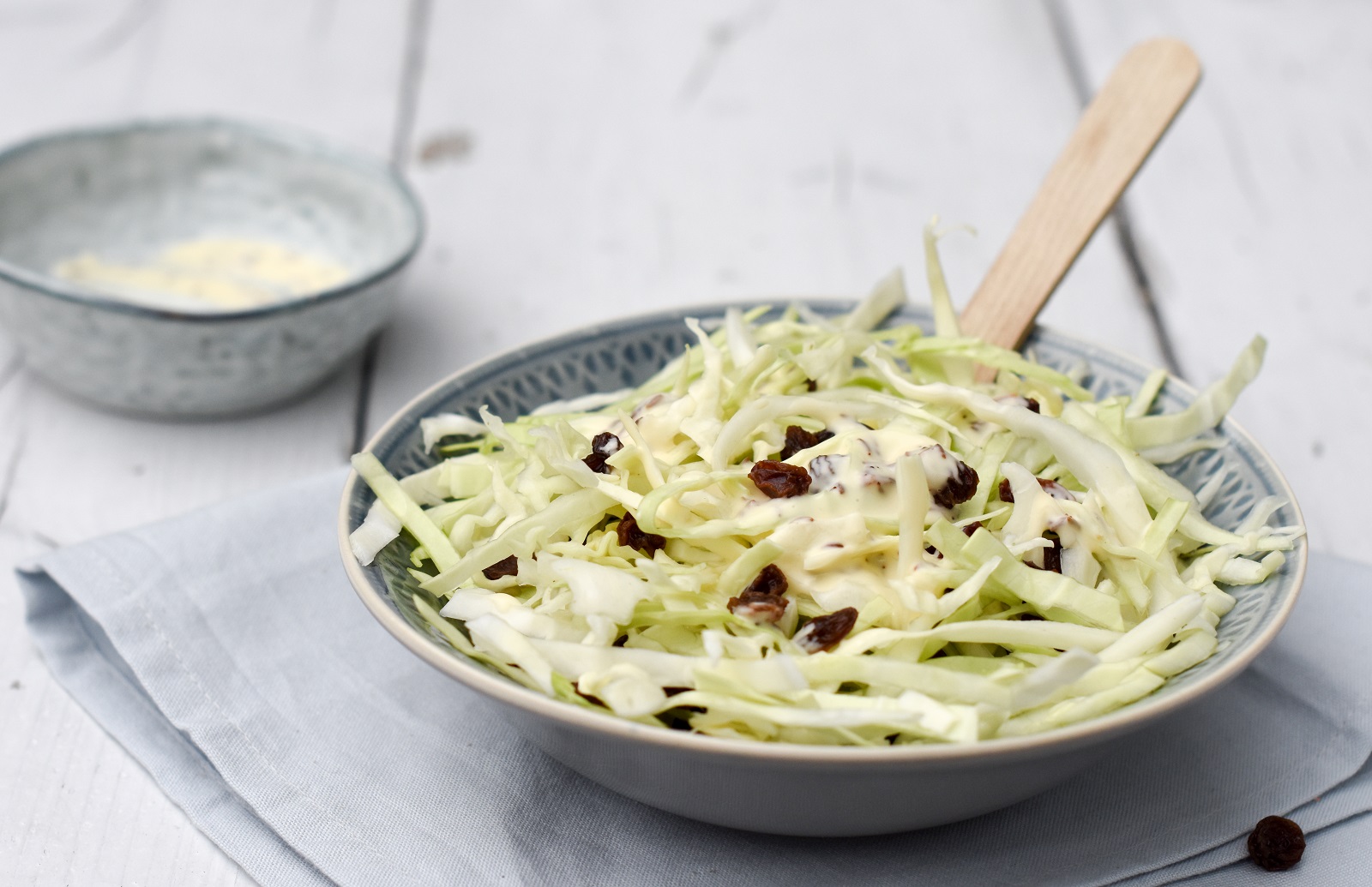 Veggipedia - White cabbage salad